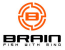 Brain fishing