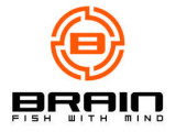 Brain