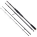 Спінінг Savage Gear SG2 Fast Game TR 8’/2.43m 30-80g (4 част.)