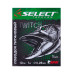 Повідець Select титановий 15см 9кг з вертлюгом