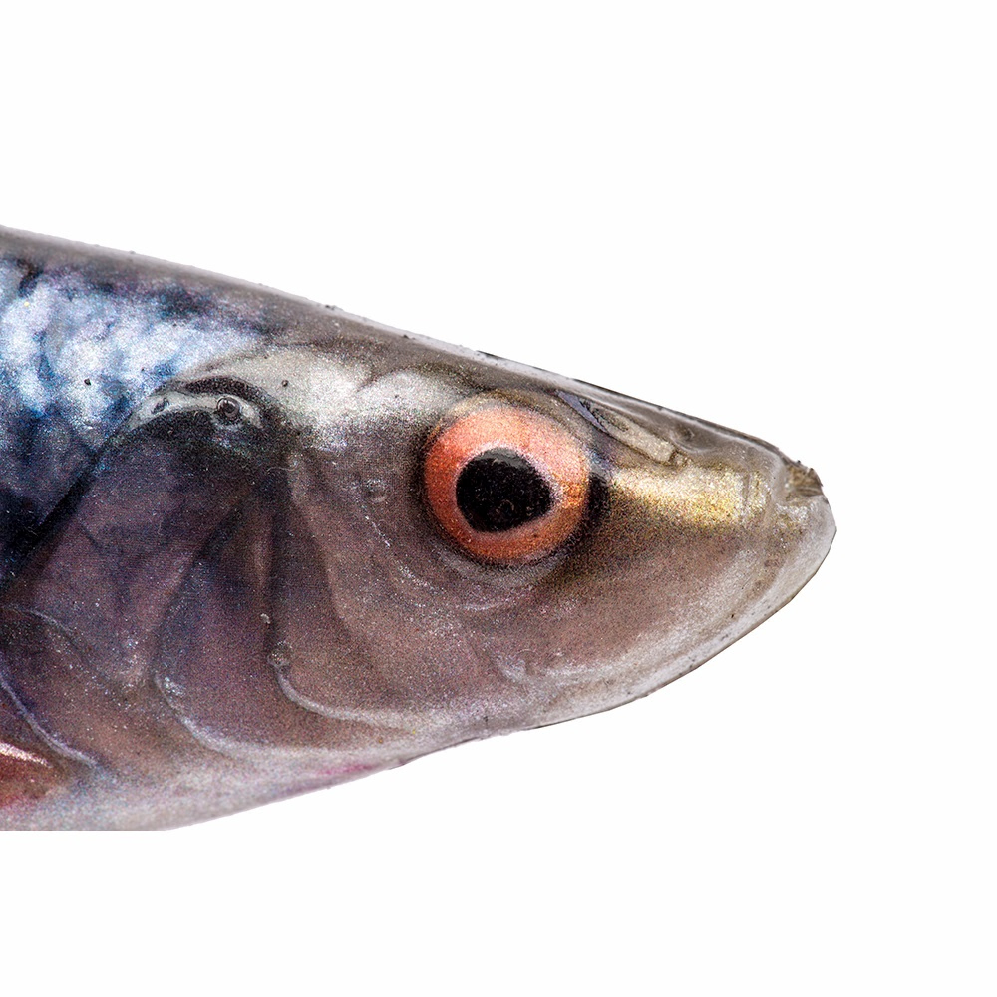 Силікон Savage Gear LB 4D Herring Shad 130mm 17.0g Roach