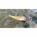 Силікон Savage Gear Craft Dying Minnow 55mm 0.7g Roach (5 шт/уп)