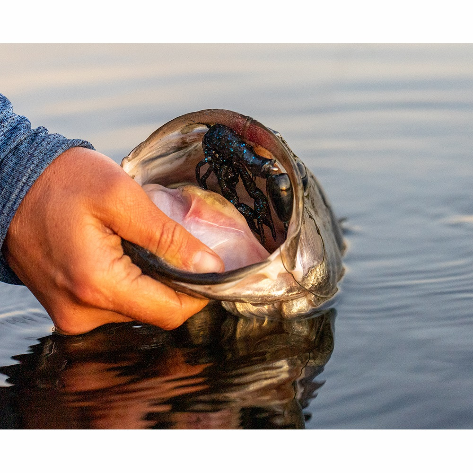 Силікон Savage Gear 4D Craw 7.5cm 5.5g Floating Red Craw 6 шт/уп